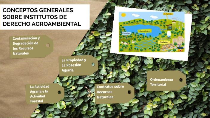 Conceptos generales Derecho Agroambiental by Cecilia Serrano on Prezi