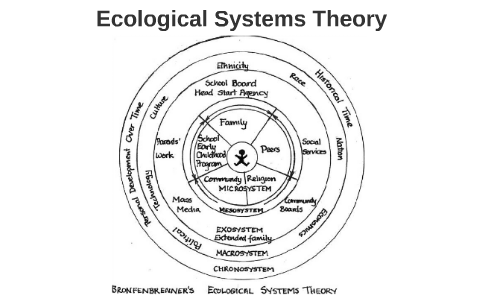 Ecological Systems Theory Examples