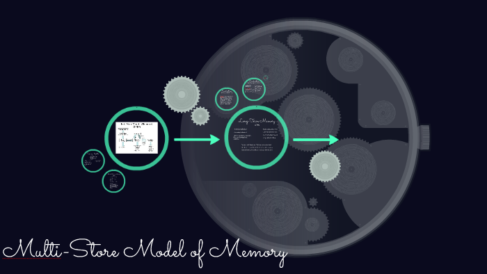 Multi-Store Model of Memory by Tiegan Lawson on Prezi