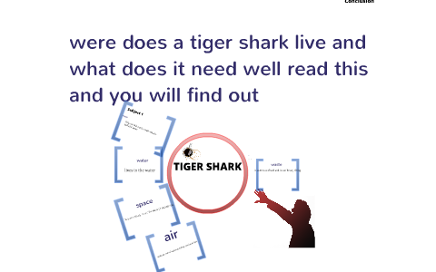 what and were does a tiger shark live by korbin rapier