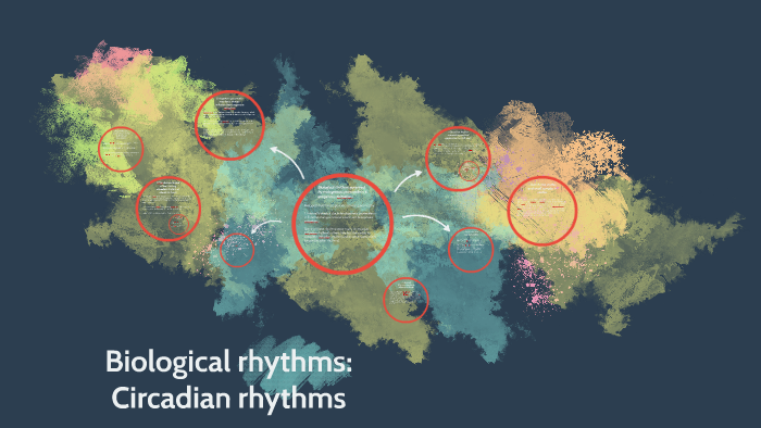 Biological rhytms: Circadian rhytms by Imogen Stewart on Prezi