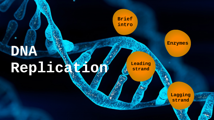 DNA replication by adeline wei on Prezi