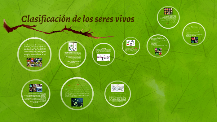 Clasificación de los seres vivos by Emerson López on Prezi