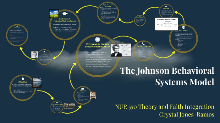 dorothy johnson behavioral system model