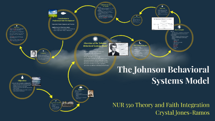 dorothy johnson behavioral system model metaparadigm