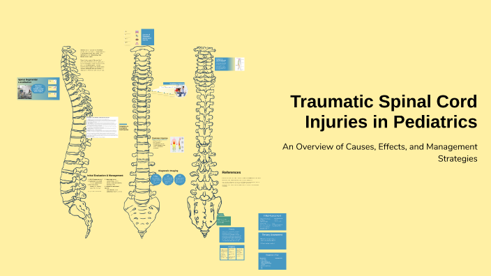 Traumatic Spinal Cord Injuries in Pediatrics by Bailey Smith on Prezi