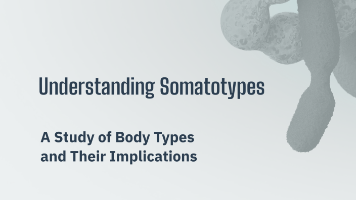 Understanding Somatotypes By Charisse Aseneta On Prezi