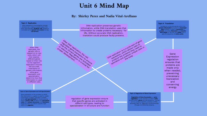 Mind Map Unit 6 by Shirley Perez on Prezi