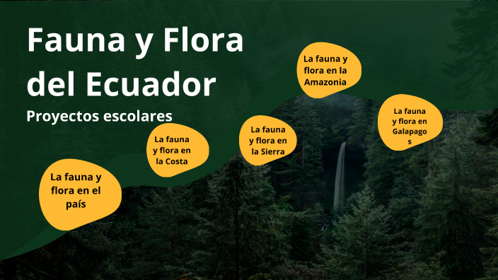 Flora y Fauna del Ecuador by Johao Jessiel Bustamante España on Prezi