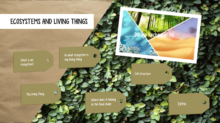ECOSYSTEMS AND LIVING THINGS by Marta Ortega Cabello on Prezi