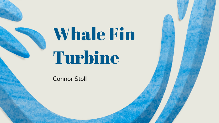 Whale Fin Inspired Turbine Design by Connor Stoll on Prezi Next