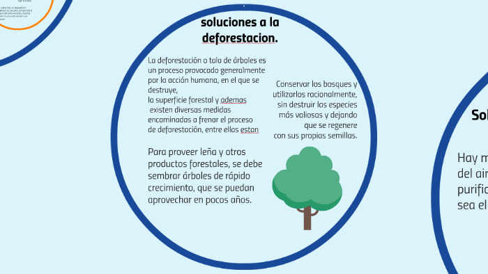 soluciones para la deforestacion. by Oscar David Aldana