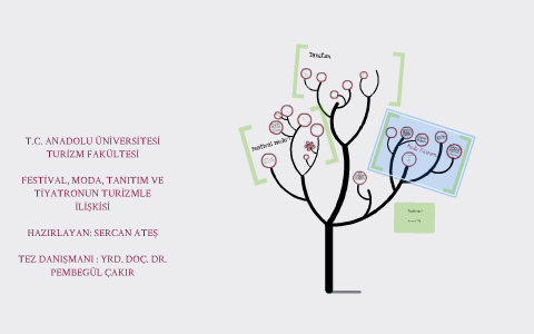 tez sunumu by sercan ateş on Prezi