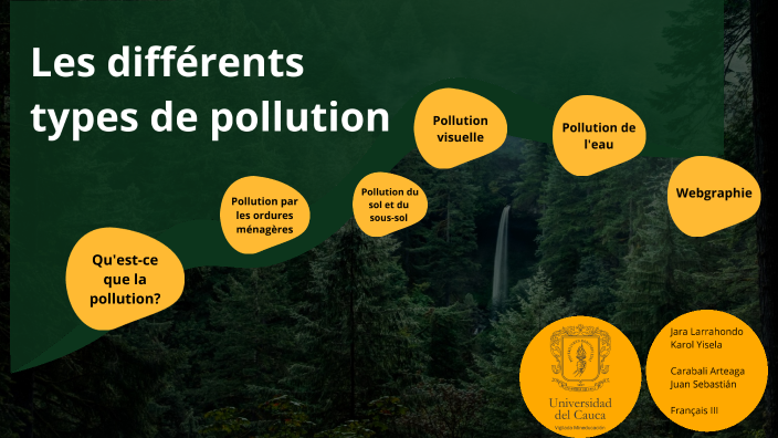 Les Types De La Pollution prezi.com