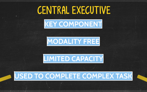 Diagram of the Working Memory Model by on Prezi Next