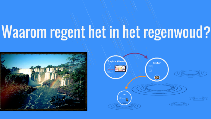 Waarom regent het in het regenwoud? by Danique van der Linden on Prezi