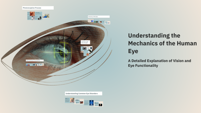 Understanding the Mechanics of the Human Eye by Raghupathi UNQ on Prezi