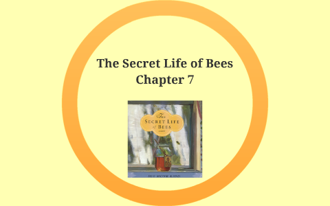 essay topic for secret life of bees