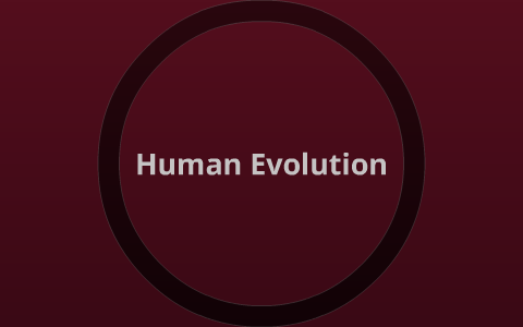 Human Evolution by Haley Hanson on Prezi