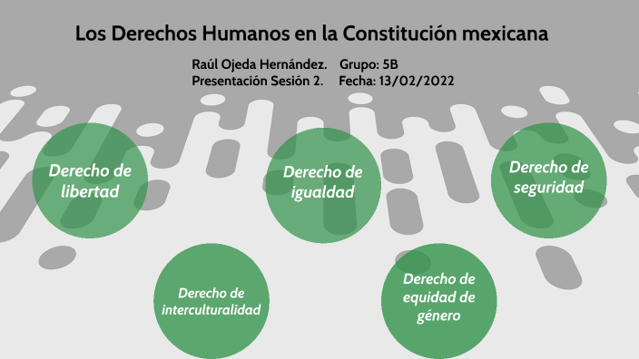 los derechos humanos en la Constitución mexicana by Raul Ojeda