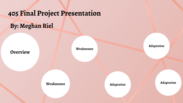 405 Final Project Presentation by Meghan Riel on Prezi