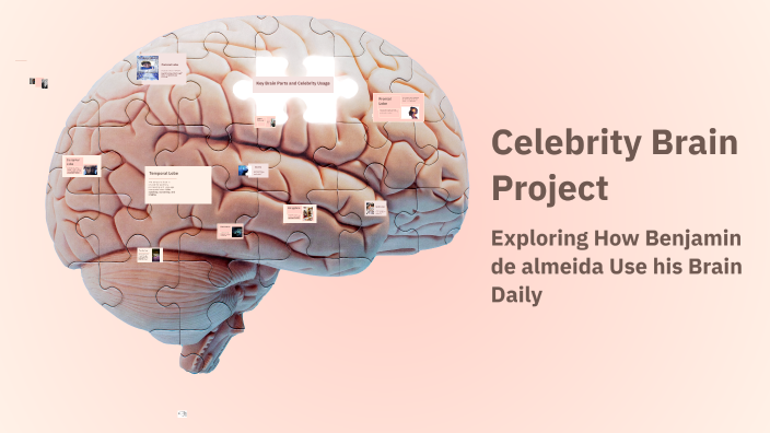 Cele Rity Brain Project Celebrity Brain Project by Anette Vigil Montes on Prezi