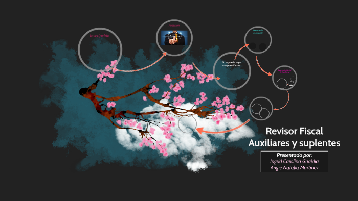 Revisor Fiscal By Natalia Martinez On Prezi