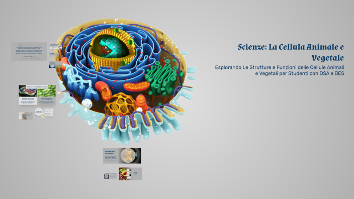 Scienze: La Cellula Animale e Vegetale by Michele Martinelli on Prezi