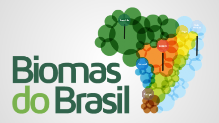 Biomas Brasileiros by Giovana Aguirres on Prezi