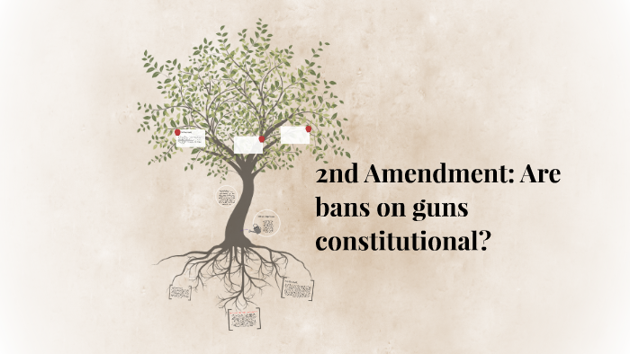 2nd amendment by lizzie wolfe on Prezi