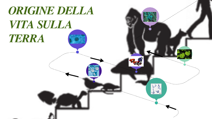 origine della vita sulla terra by cccccc ccccc on Prezi