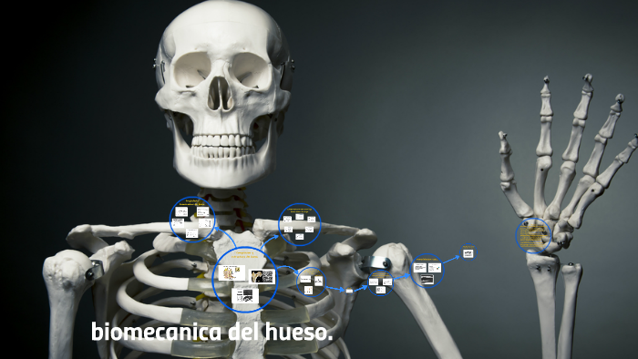 Biomecanica Del Hueso. By Dania Jimenez