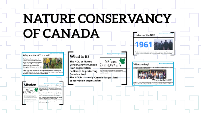 Nature Conservancy of Canada by Lauren MacDonald on Prezi