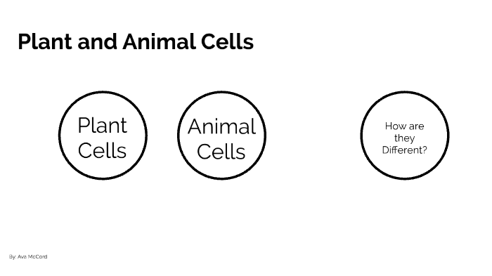 Plant and Animal cells by Ava McCord on Prezi