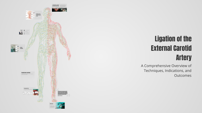 Ligation of the External Carotid Artery by Indla Raji on Prezi