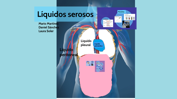Liquidos serosos by Mario Martínez Padilla on Prezi