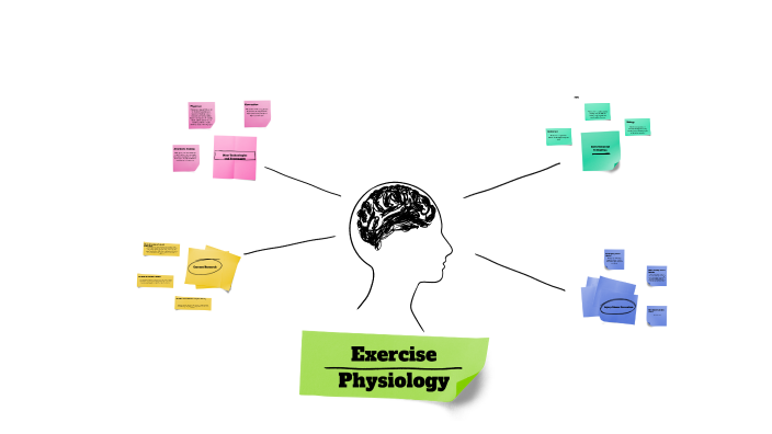 Mind Map Exercise Physiology By Cole Puckett On Prezi   Mfpwwyxsyfsacky4zmlaszjnch6jc3sachvcdoaizecfr3dnitcq 3 0 