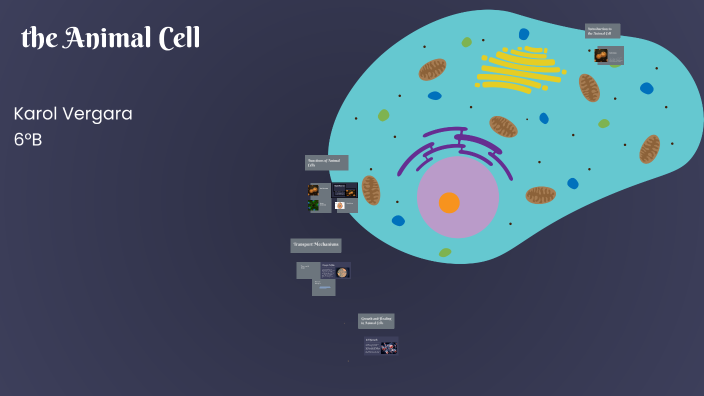 Understanding the Animal Cell by Nazareth Tejedor on Prezi