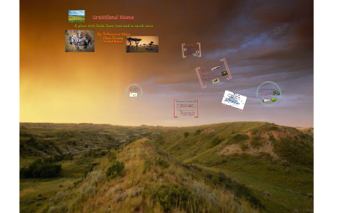Grasslands at a Glance by Aabid Razvi on Prezi