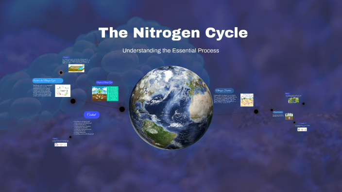 The Nitrogen Cycle by Koushik Das on Prezi