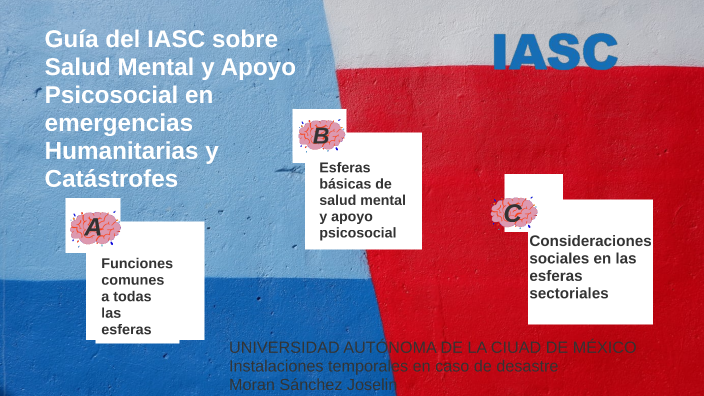 Guía del IASC sobre Salud Mental y Apoyo Psicosocial en emergencias ...