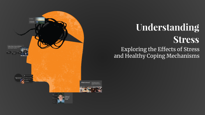Understanding Stress by Brianna Simmons on Prezi
