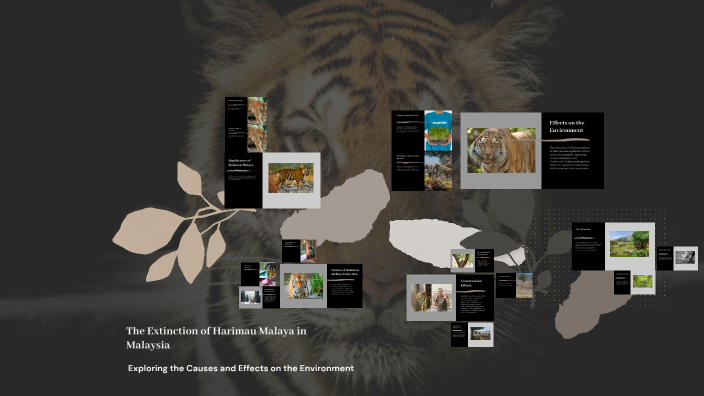 The Extinction of Harimau Malaya in Malaysia by Haz Hairail on Prezi