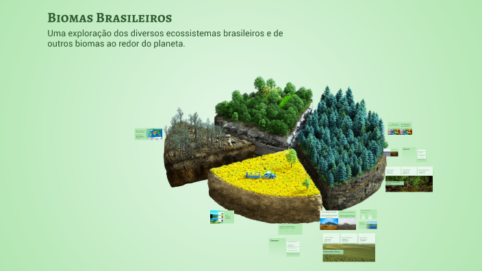 Biomas do Brasil e do mundo inteiro by Stiven Lobato on Prezi
