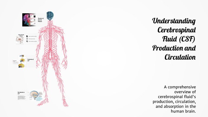 Understanding Cerebrospinal Fluid (CSF) Production and Circulation by ...
