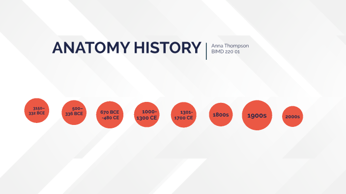 Anatomy History by Anna Thompson on Prezi