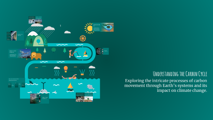 Understanding the Carbon Cycle by Gavin L on Prezi