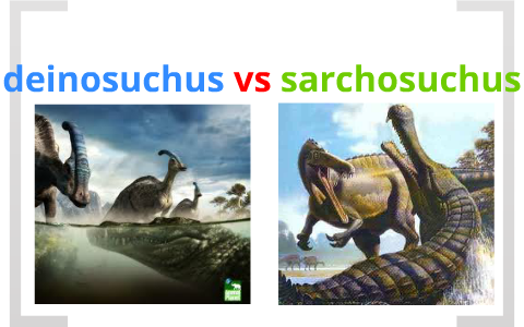 What would win, a sarcosuchus or a deinosuchus? - Quora