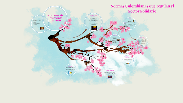 Normas Colombianas que regulan el Sector Solidario by lizeth rincón ...