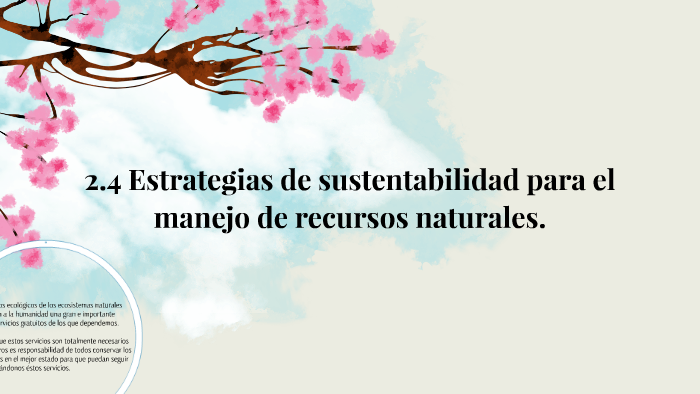 2.4 Estrategias De Sustentabilidad Para El Manejo De Recurso By Astrid ...